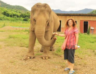 Fil Bakıcılığı – Tayland
